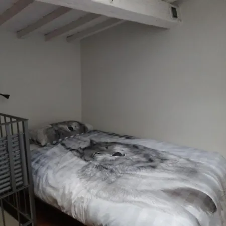 L'oziorinco Firenze