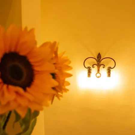 Apartment L'oziorinco